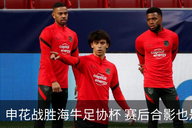 申花战胜海牛足协杯 赛后合影也是见到盖伊