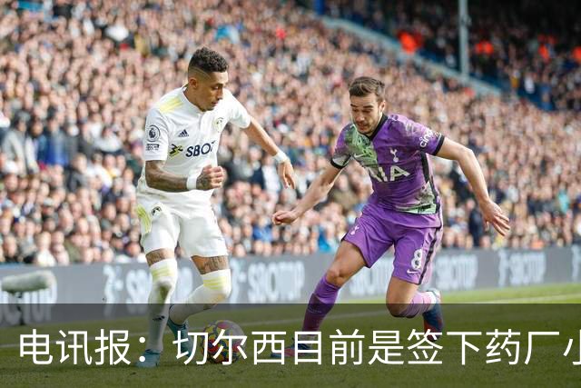 电讯报：切尔西目前是签下药厂小将阿拉伊贝戈维奇的最大热门
